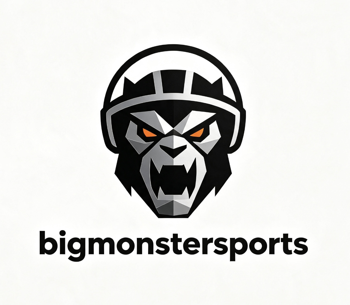 bigmonstersports.shop